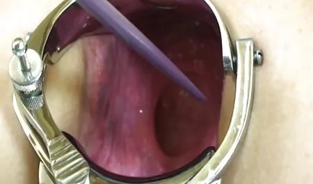 Pikaper Tristán llamado viajero Verónica para el sexo videos xxx latinas culonas