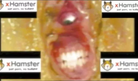 Culo, xxx culonas latinas