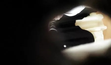 Resulta que mi marido culonas latinas hermosas follando mi amigo