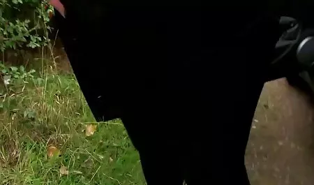 Las latinas culonas xvideos personas y el pleno