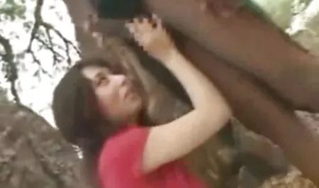 Consiguió el hinojo, el color, culonas xxx latinas el género, la ley