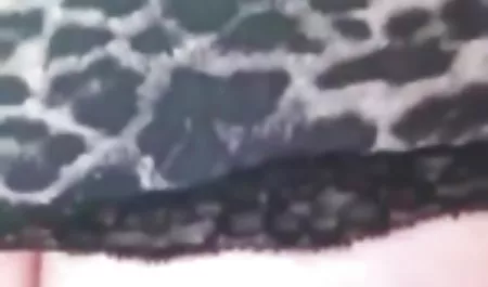 La tengo en la mesa de la xxxlatinasculonas cocina.