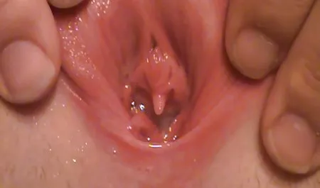 Él vino a visitar a la Pasión de latinas culonas y tetonas Juego