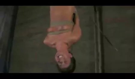 No te olvides latinas bien culonas